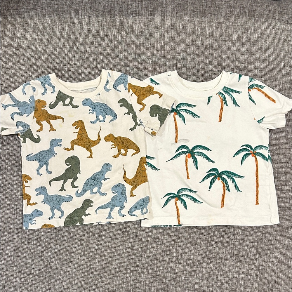 Pink Chicken Dinosaur and Palm Tree Tees. Size 3Y. Play condition.